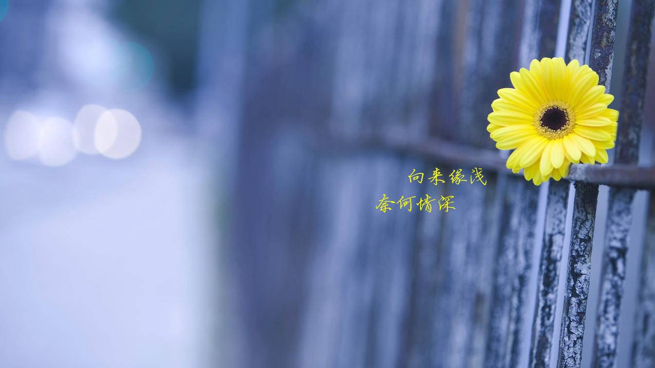 hero-image